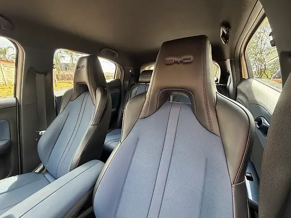 BYD Dolphin Mini - Imagem 10