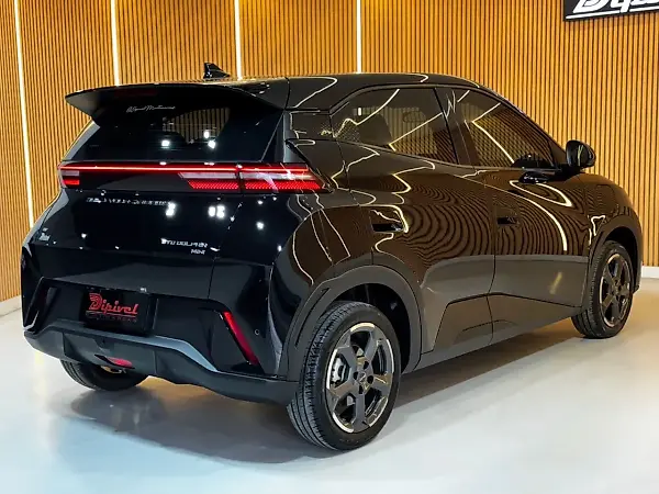 BYD Dolphin Mini - Imagem 6
