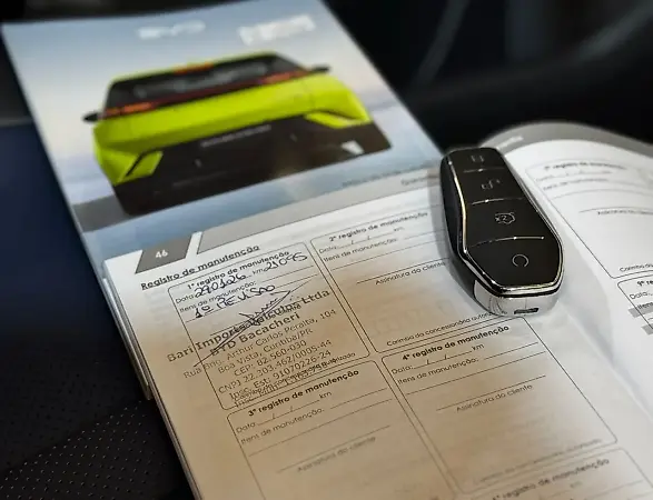 BYD Dolphin Mini - Imagem 17
