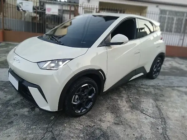 BYD Dolphin Mini - Imagem 14