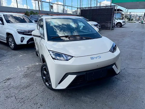 BYD Dolphin Mini - Imagem 15