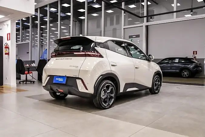 BYD Dolphin Mini - Imagem 10