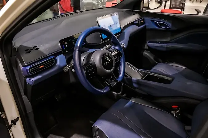 BYD Dolphin Mini - Imagem 13