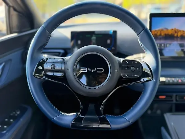 BYD Dolphin Mini - Imagem 10