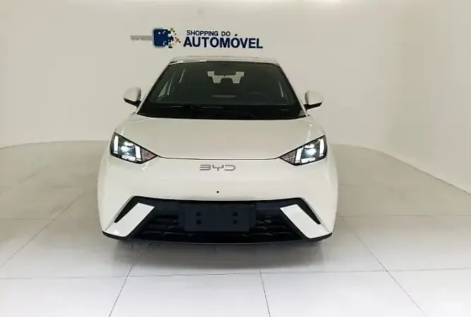BYD Dolphin Mini - Imagem 13