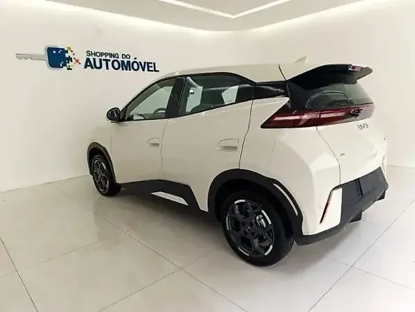 BYD Dolphin Mini - Imagem 14