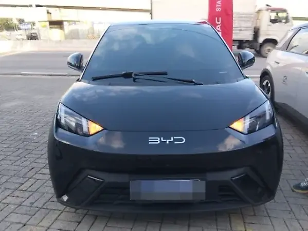 BYD Dolphin Mini - Imagem 1