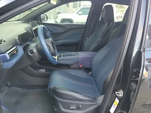 BYD Dolphin Mini - Imagem 14