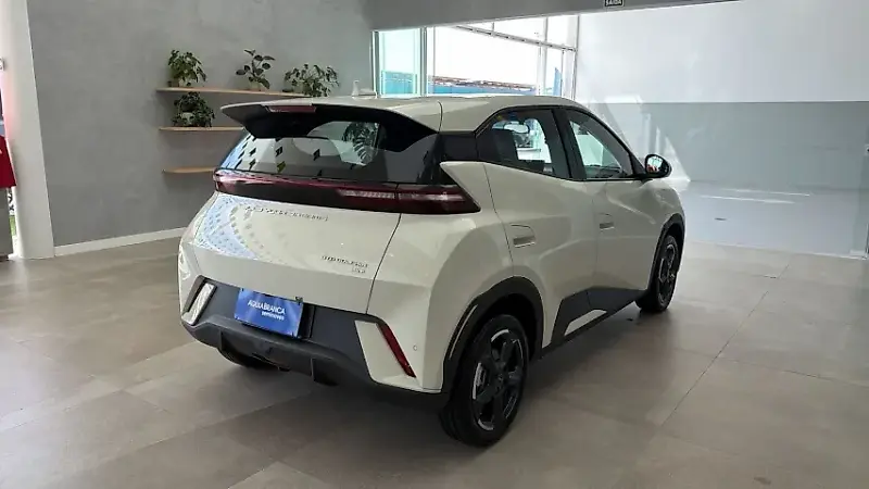 BYD Dolphin Mini - Imagem 8