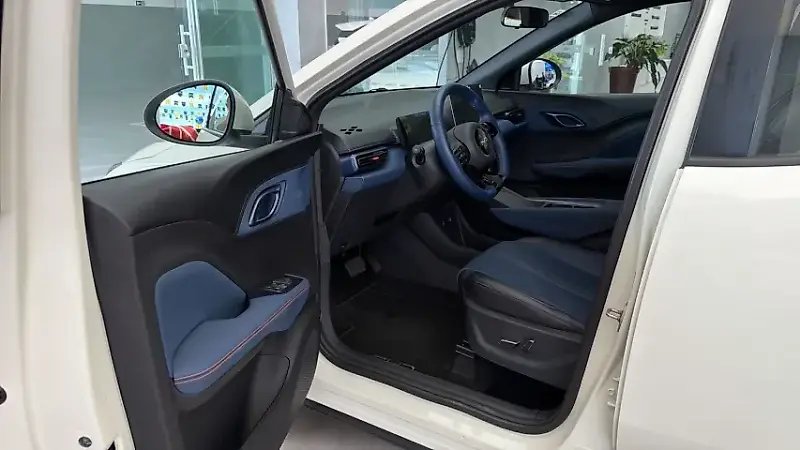 BYD Dolphin Mini - Imagem 13