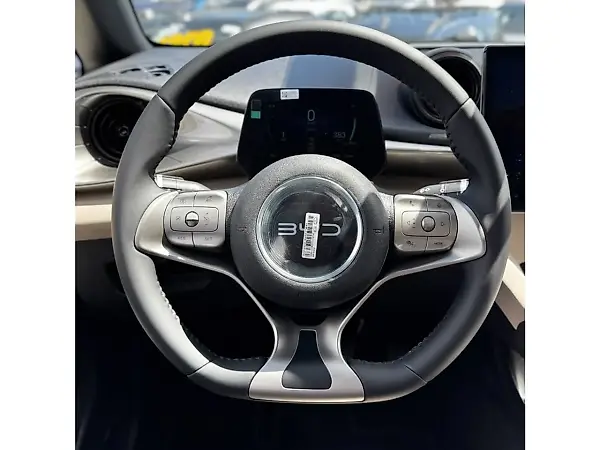 BYD Dolphin - Imagem 10