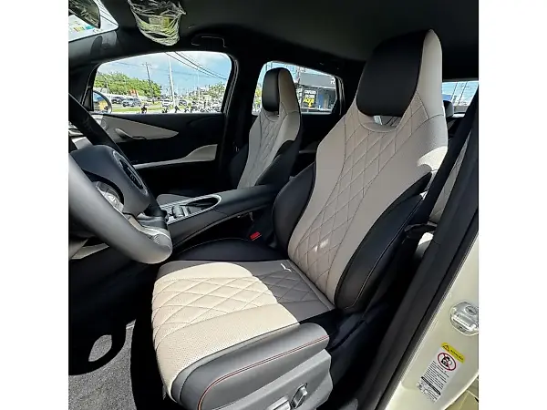BYD Dolphin - Imagem 11