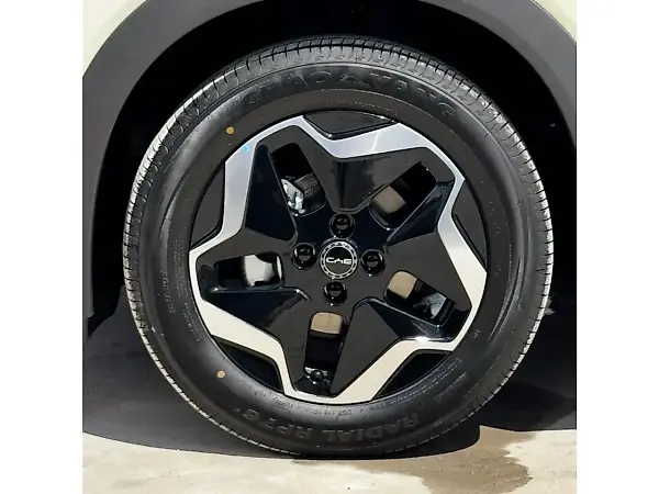 BYD Dolphin - Imagem 16