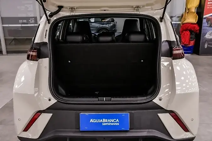 BYD Dolphin Mini - Imagem 13