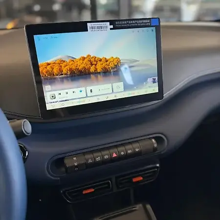BYD Dolphin Mini - Imagem 12