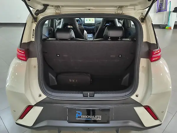 BYD Dolphin - Imagem 15