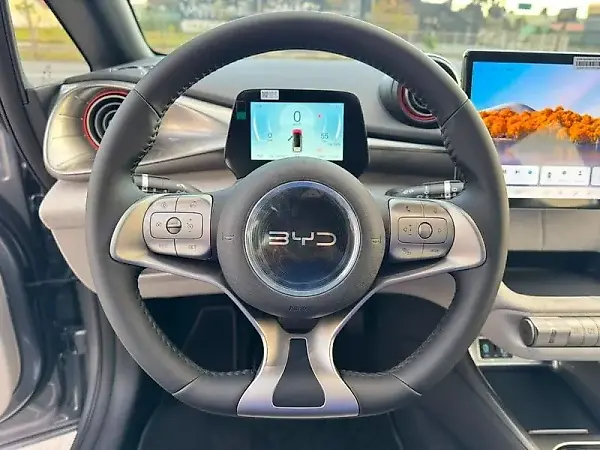 BYD Dolphin - Imagem 19