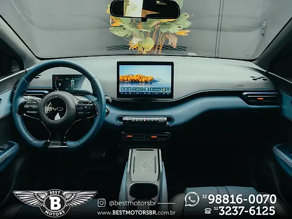 BYD Dolphin Mini - Imagem 11