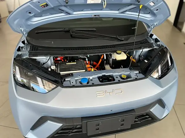 BYD Dolphin Mini - Imagem 10