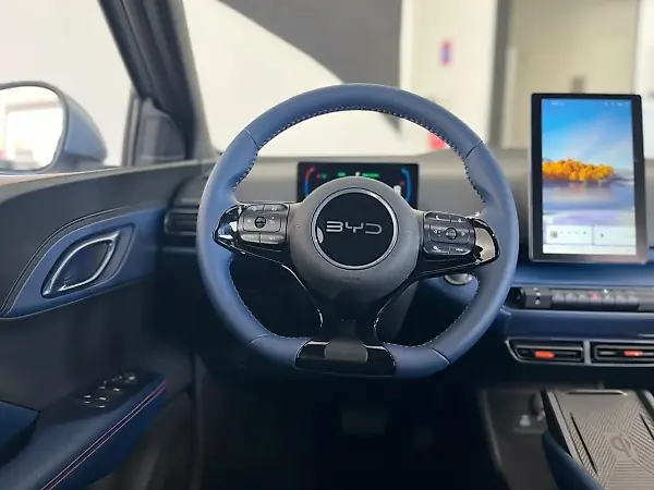 BYD Dolphin Mini - Imagem 11