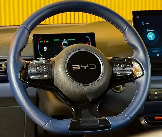 BYD Dolphin Mini - Imagem 14