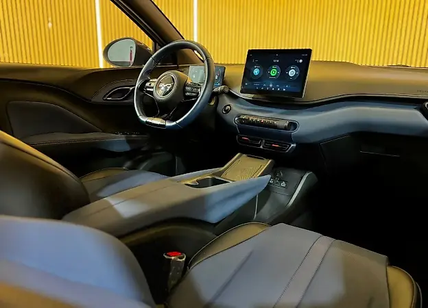 BYD Dolphin Mini - Imagem 19