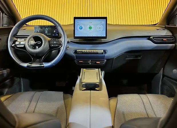 BYD Dolphin Mini - Imagem 17