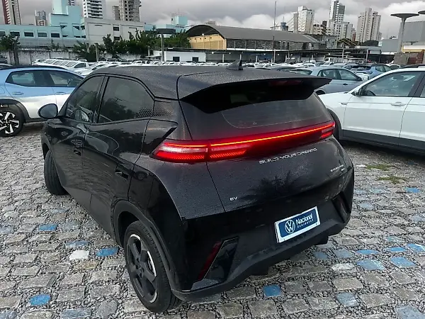 BYD Dolphin Mini - Imagem 11