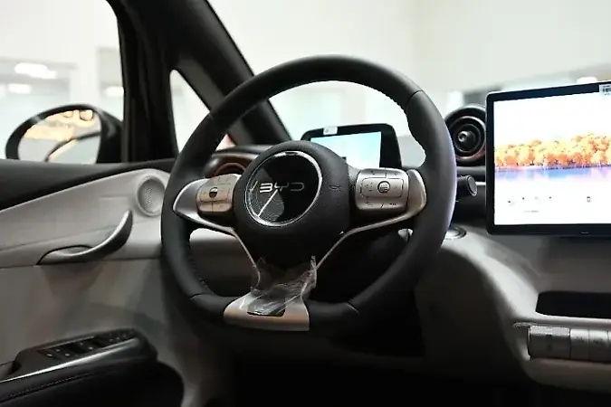 BYD Dolphin - Imagem 14