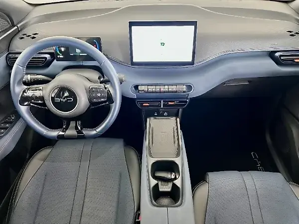 BYD Dolphin Mini - Imagem 12