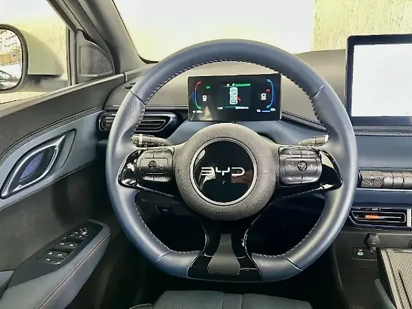 BYD Dolphin Mini - Imagem 11