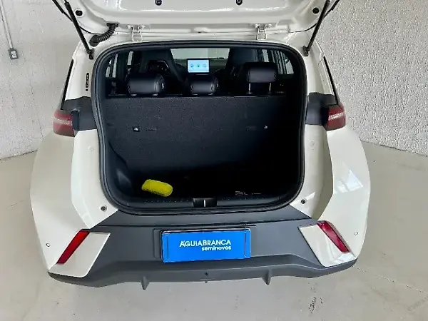 BYD Dolphin Mini - Imagem 10