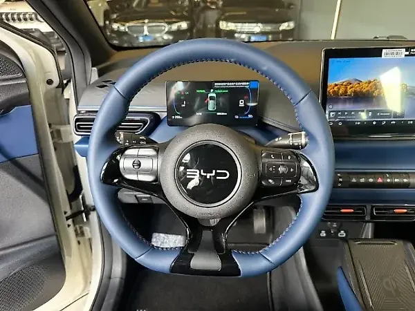 BYD Dolphin Mini - Imagem 8