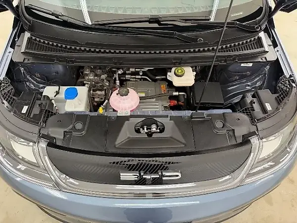 BYD Dolphin Plus - Imagem 19