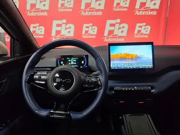 BYD Dolphin Mini - Imagem 9