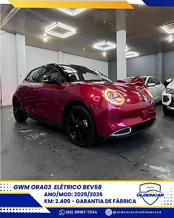 GWM Ora 03 - Imagem 1