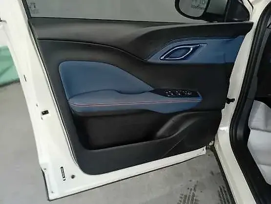 BYD Dolphin Mini - Imagem 10