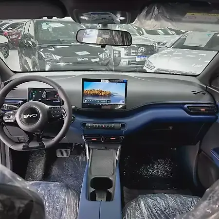 BYD Dolphin Mini - Imagem 11