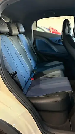 BYD Dolphin Mini - Imagem 8