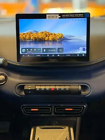 BYD Dolphin Mini - Imagem 10