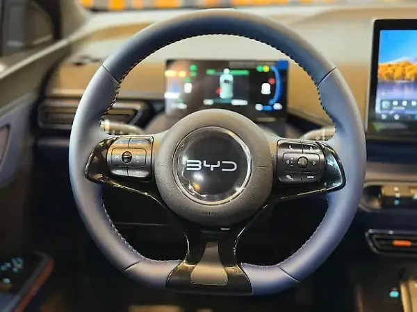 BYD Dolphin Mini - Imagem 11