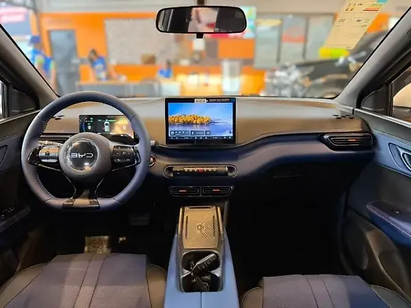 BYD Dolphin Mini - Imagem 12