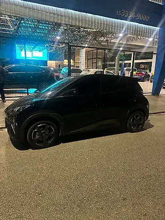 BYD Dolphin Mini - Imagem 1