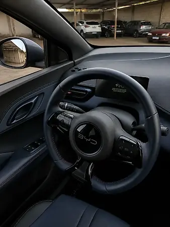 BYD Dolphin Mini - Imagem 4