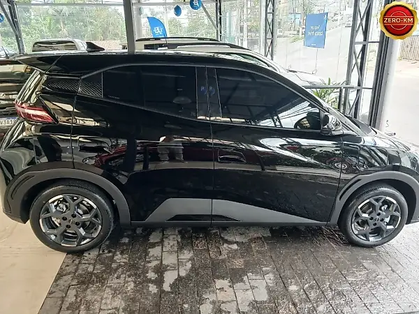 BYD Dolphin Mini - Imagem 2