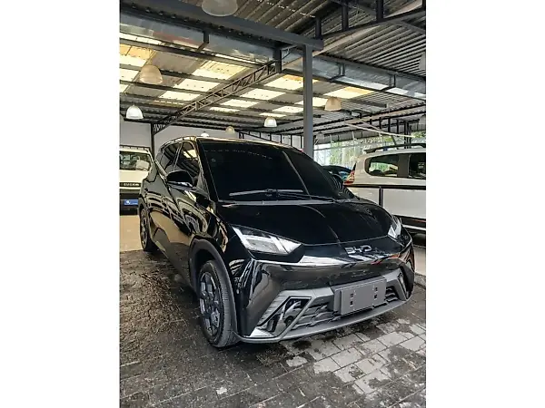 BYD Dolphin Mini - Imagem 6