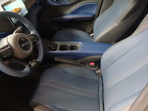 BYD Dolphin Mini - Imagem 10