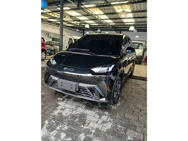 BYD Dolphin Mini - Imagem 9