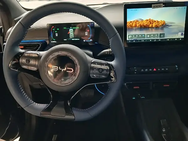 BYD Dolphin Mini - Imagem 11