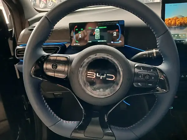 BYD Dolphin Mini - Imagem 15